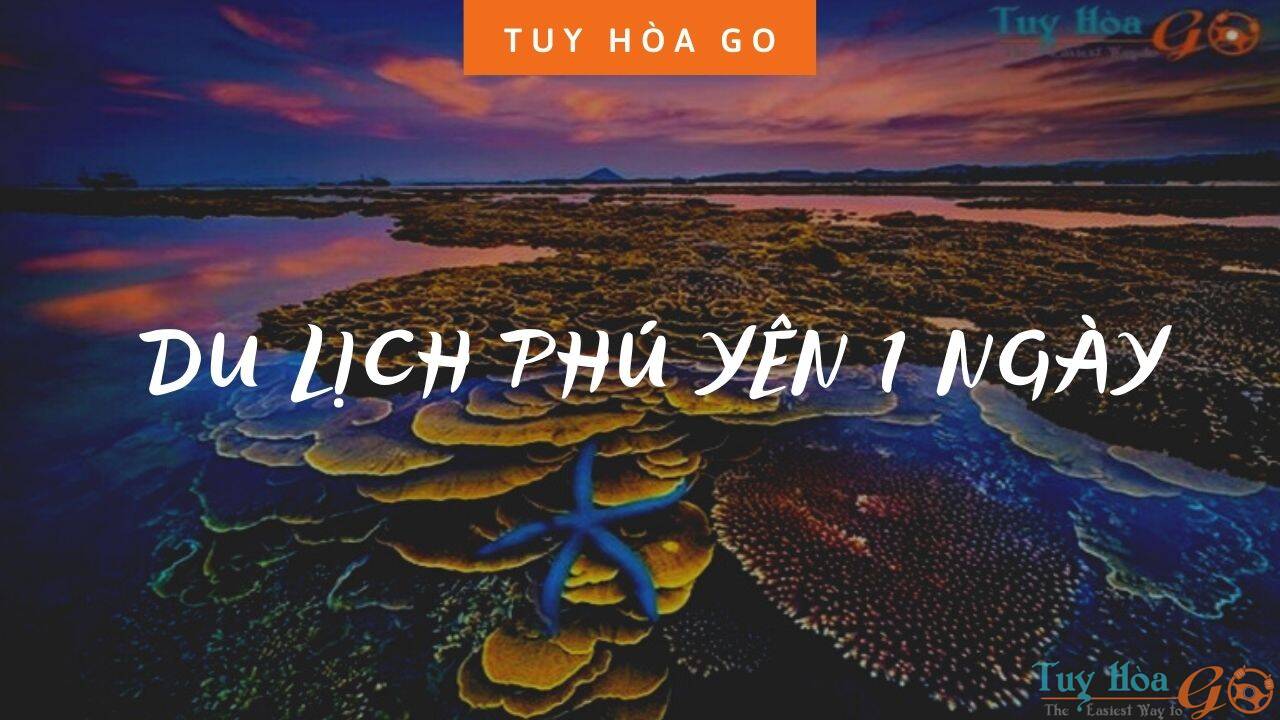 Những kinh nghiệm du lịch Phú Yên tự túc 2023 đầy đủ